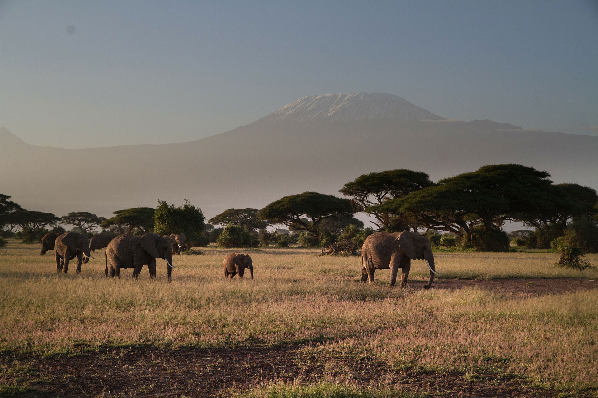 You are currently viewing Amboseli National Park