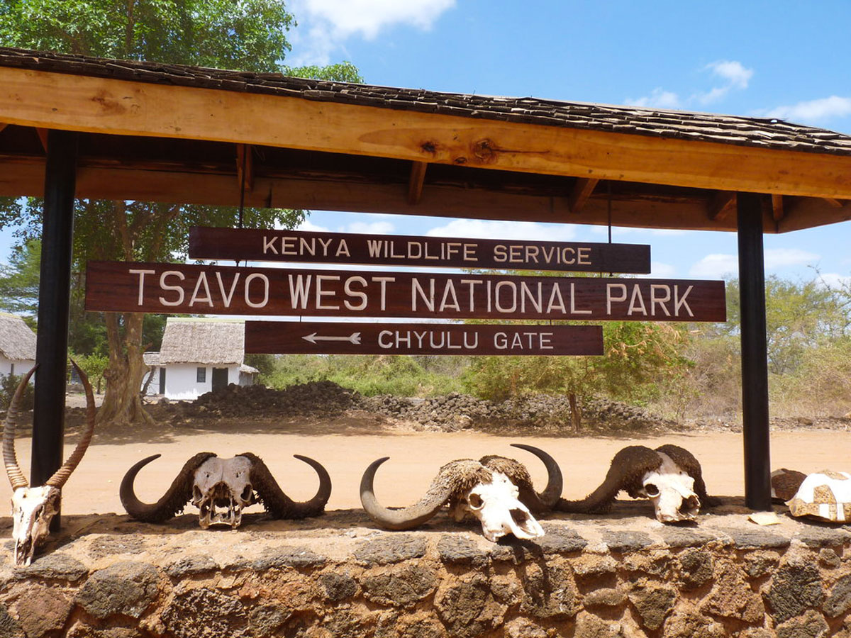 You are currently viewing tsavo east and tsavo west
